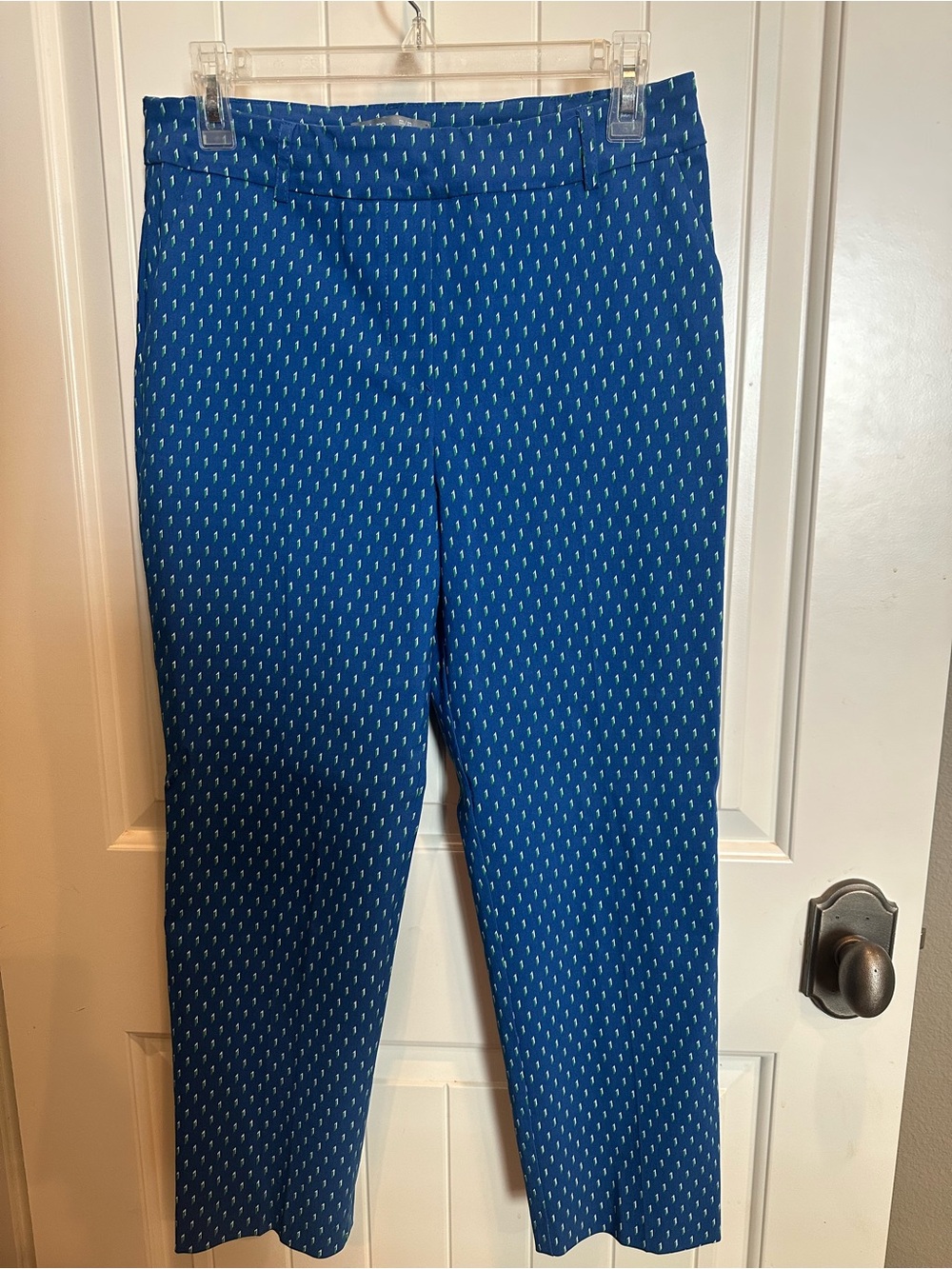 Cobalt Cropped Ankle Pants ILTM with Micro Dot Print